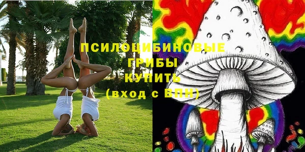 mdpv Балахна