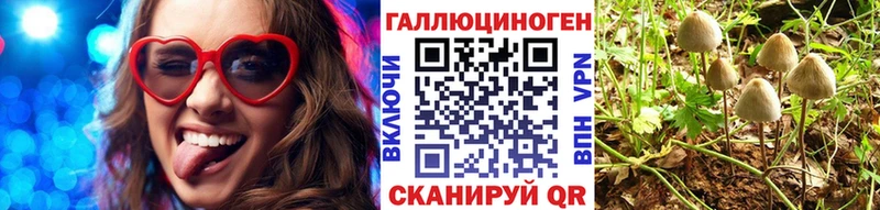 Галлюциногенные грибы Psilocybe  Кохма 